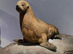 -中国湿地博物馆