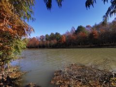 -上海海湾国家森林公园