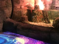 -沈阳海洋探索中心