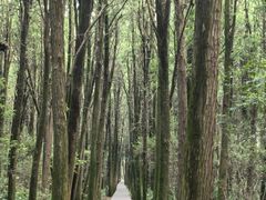 -同里国家湿地公园