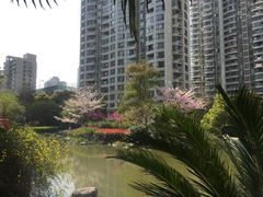 -新湖明珠城