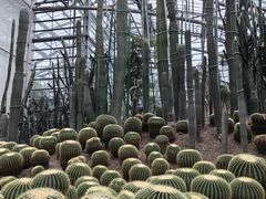 -南山植物园