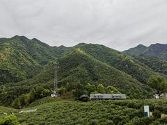 -黄牛肉馆·皖南土菜