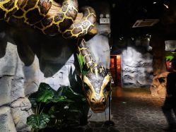 -Zoolung Zoolung动物主题公园(海信广场店)