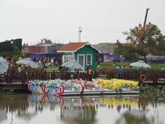 -荷兰花海