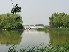 -大兴滨河森林公园
