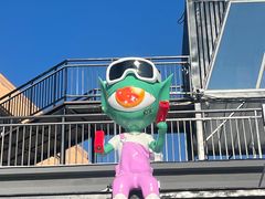 -果松木炭酸菜铜火锅·外婆参鸡汤