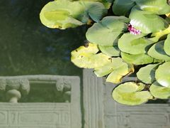 -北京市劳动人民文化宫(太庙)