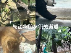 -柳州市动物园