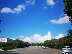 -胜华驾校·小猫学车(银都店)