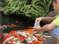 -聚福宝合苑食府(南头镇店)