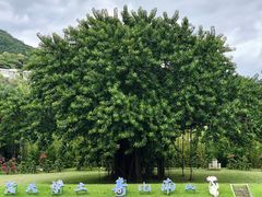 -三亚南山文化旅游区