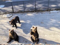 -大连森林动物园