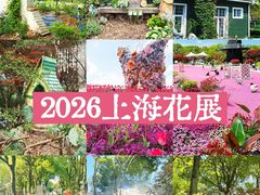 -上海鲜花港