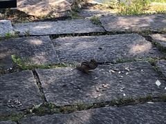 -长春市南湖公园