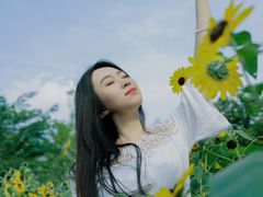 -万绿园