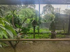 -吉隆坡雀鸟公园