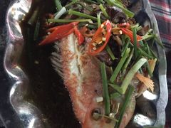 -幸福姐海鲜大排档