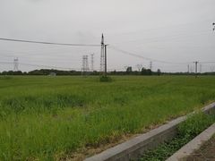 -嘉北郊野公园