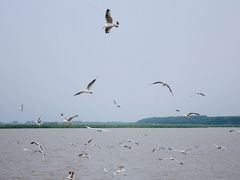 -农垦当壁镇兴凯湖旅游度假区