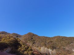-秦岭风景区