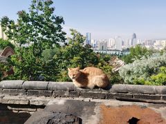-土楼观-北禅寺