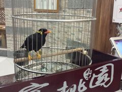 -宴桃园(门头沟店)