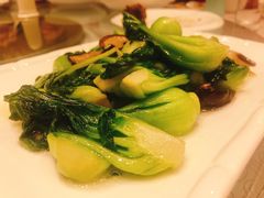 -东方明珠老上海8号餐厅(东方明珠广播电视塔店)