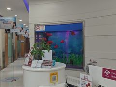 -雅悦齿科(顾村公园店)