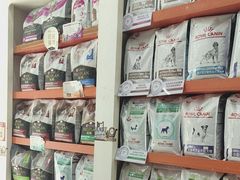 -瑞鹏宠物医院·微创内窥镜·骨外科·牙科(翠竹分院)