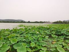 -云龙湖旅游景区