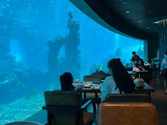 -海棠湾洲际-涛·海底餐厅·美人鱼·自助餐·海底隧道