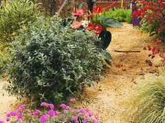 -重庆市江北嘴中央商务区中央公园