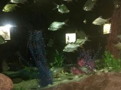 -洛阳龙门海洋馆