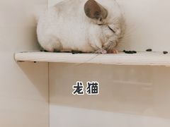 -龙猫仔乐园(惠福东路店)