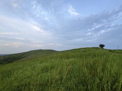 -恋山坝上草原