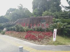 -瑶湖郊野森林公园