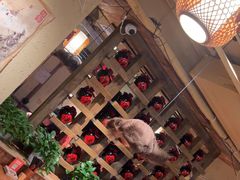 -泥糊破店小酒馆·团建聚餐(南京西路店)