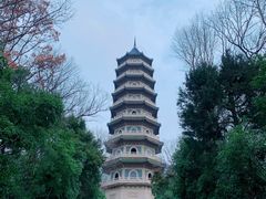 -灵谷景区