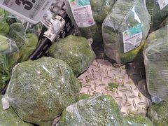 -奥士凯物美(新兴里店)
