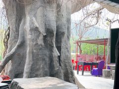 -双新垂钓园