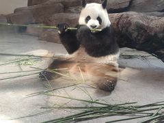 -宁波野生动物园
