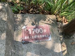 -鹿院坪生态旅游景区