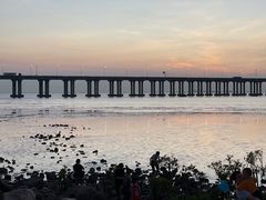 -宝安西湾红树林湿地公园