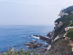-杨梅坑