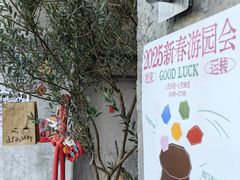 -溪岸路花鸟市场