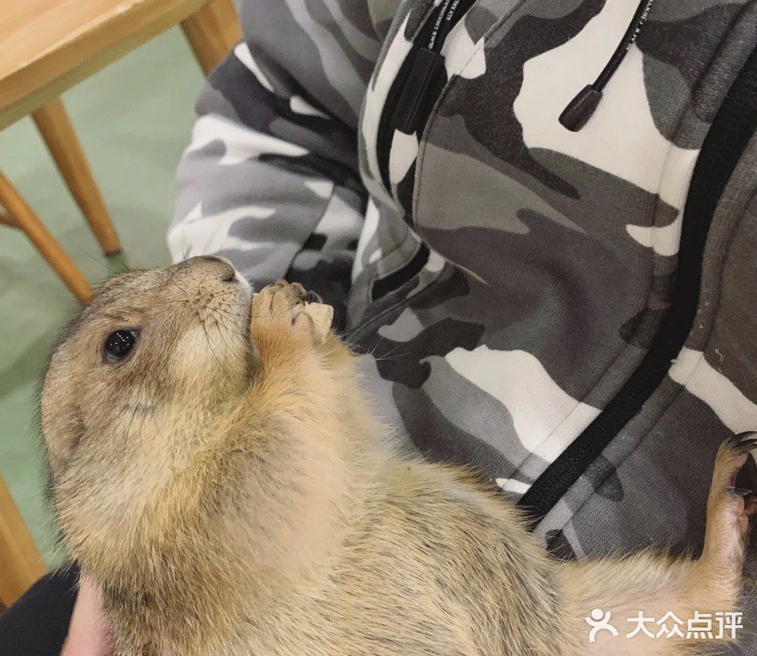 宝宝撒欢好去处｜摩西花园🌸