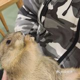 宝宝撒欢好去处｜摩西花园🌸