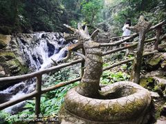 -莫里热带雨林景区