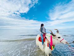 -青海湖国家重点风景名胜区